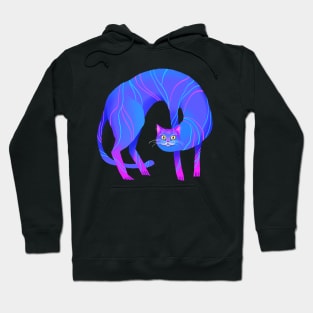 Psychedelic Crypto Cat Hoodie